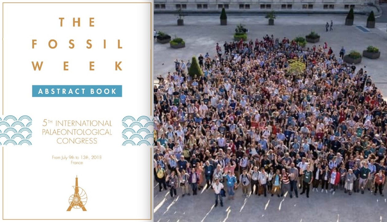 Paléontologie : Fossil week 2018