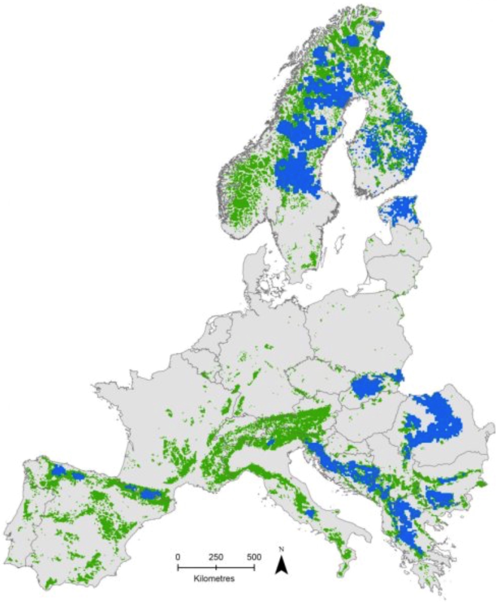 Ours brun en Europe